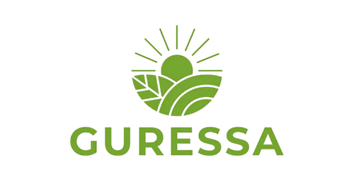 Guressa