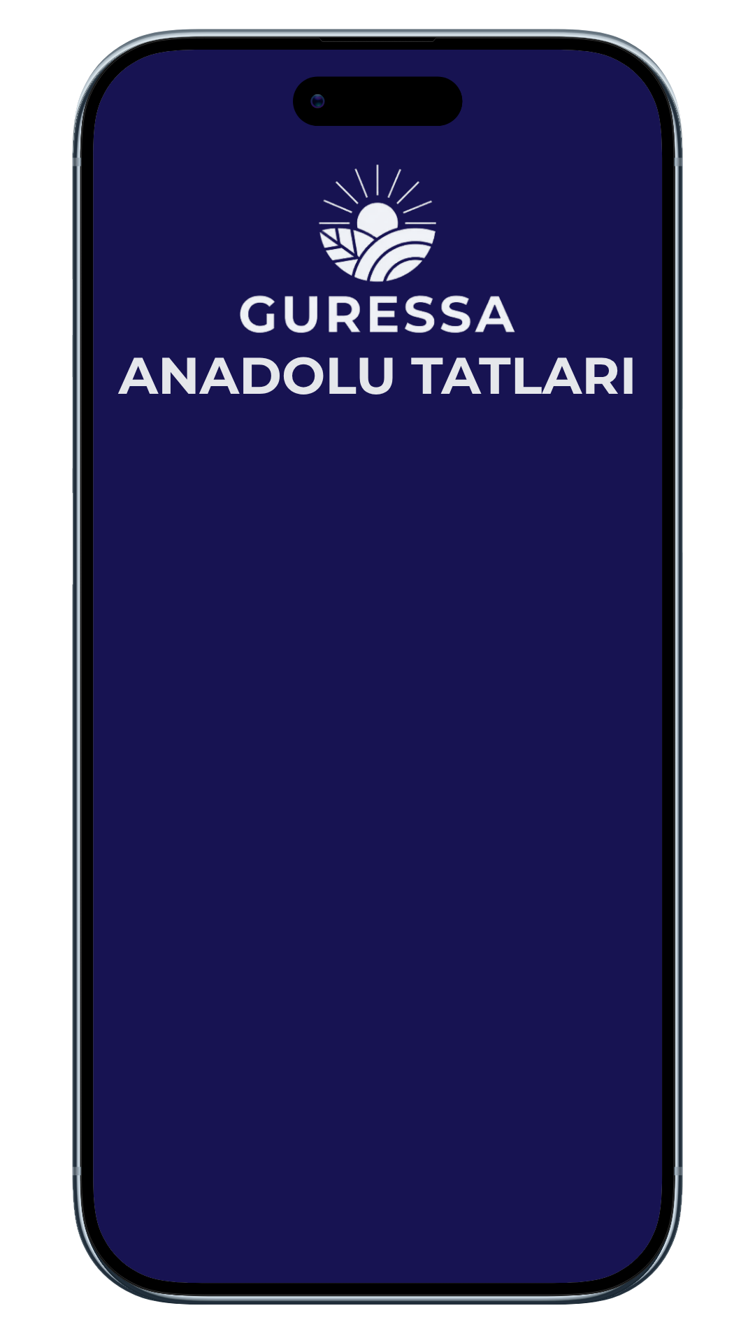Phone Mockup